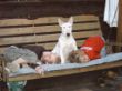 IMG00024.JPG